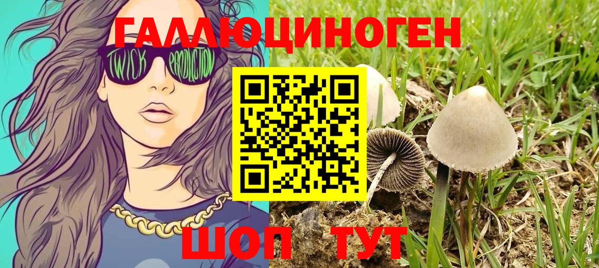 Галлюциногенные грибы Psilocybe Воткинск